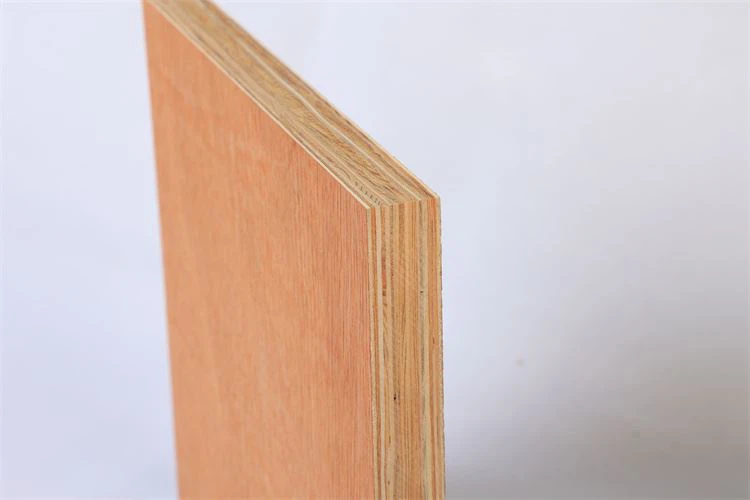 ไม้อัดพื้นตู้คอนเทนเนอร์